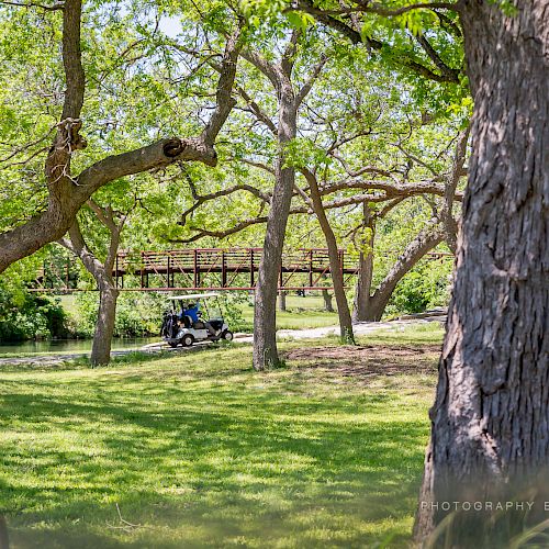 The image shows a park scene with trees, grass, and two golf carts on a path. One cart is partially visible in the foreground.