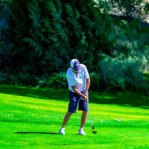 A person is golfing on a green lawn surrounded by trees and bushes. The golfer is mid-swing, wearing shorts, a t-shirt, and a cap.