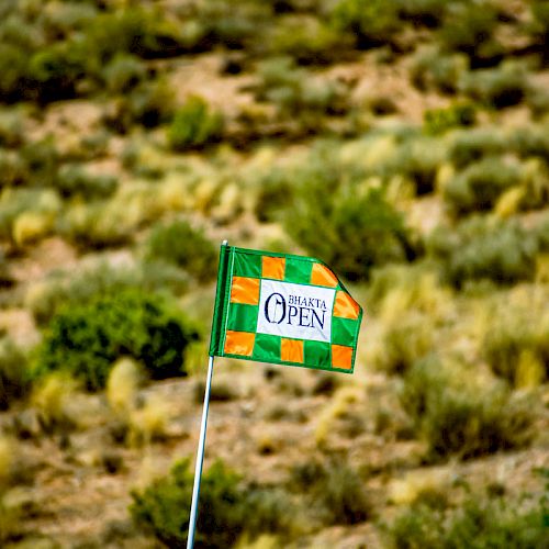 The image shows a checkered flag with 