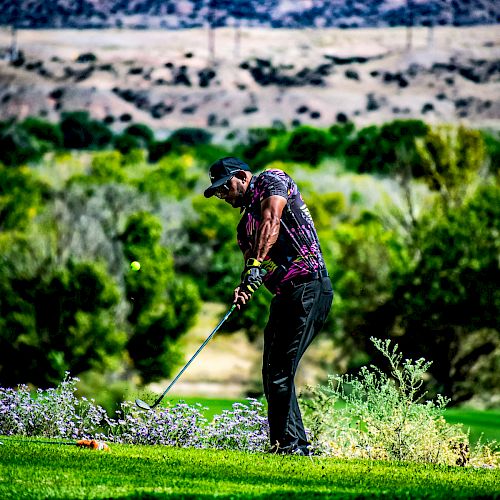 A person is playing golf on a green course with a scenic landscape background, featuring trees and mountains in the distance.