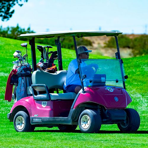 A person is driving a pink golf cart on a grassy golf course with golf clubs in the back. The weather looks clear and sunny.