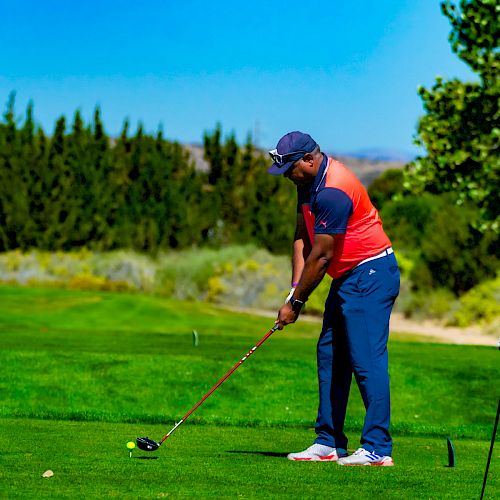 A person is playing golf on a lush, green course with trees and shrubs in the background under a clear blue sky.