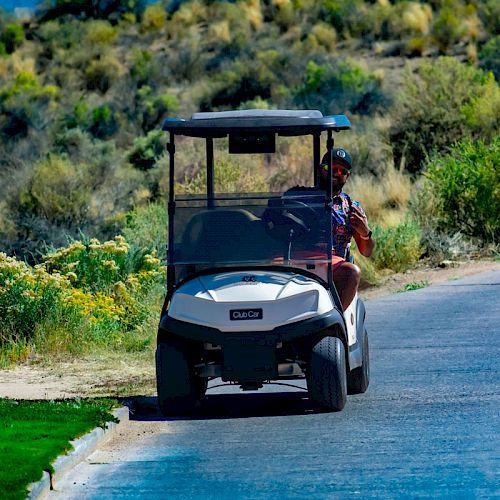 A person drives a golf cart on a paved path surrounded by lush greenery and shrubs on a sunny day, heading down a scenic route.