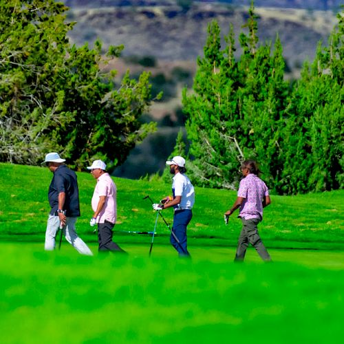 Four people are walking on a golf course with trees and hills in the background, carrying golf equipment.