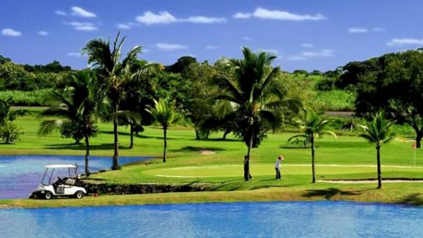 A tropical golf course by a lake with palm trees, golfers, and a golf cart on manicured greens.